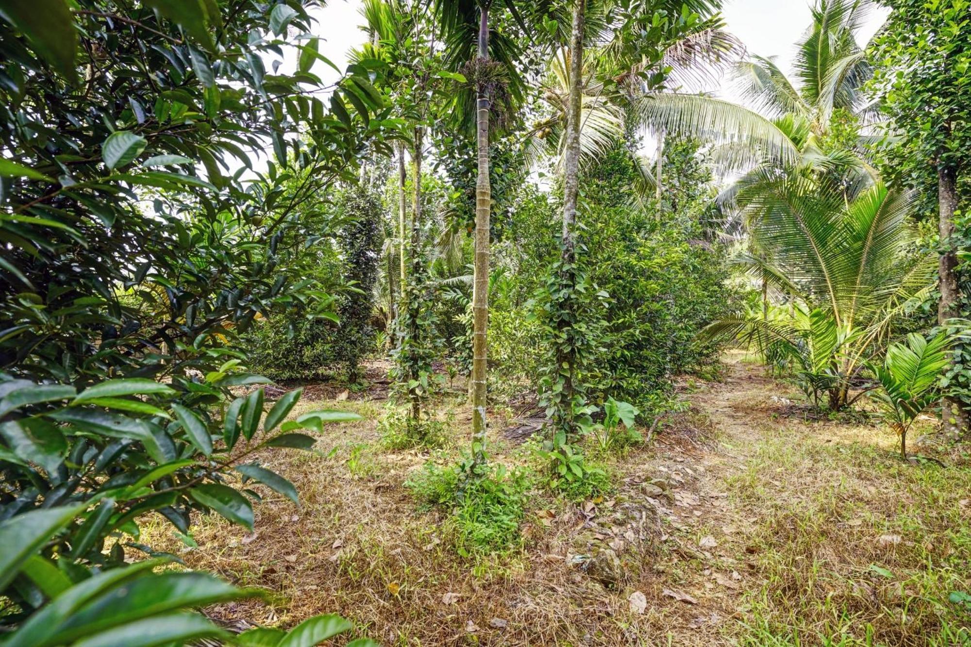 Spot On Shalom Palace Residency Neriyamangalam Luaran gambar