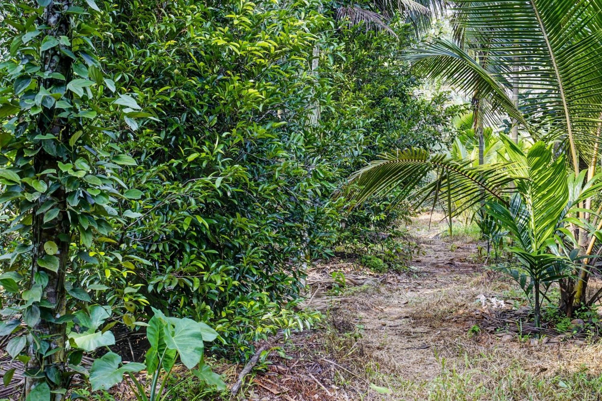 Spot On Shalom Palace Residency Neriyamangalam Luaran gambar