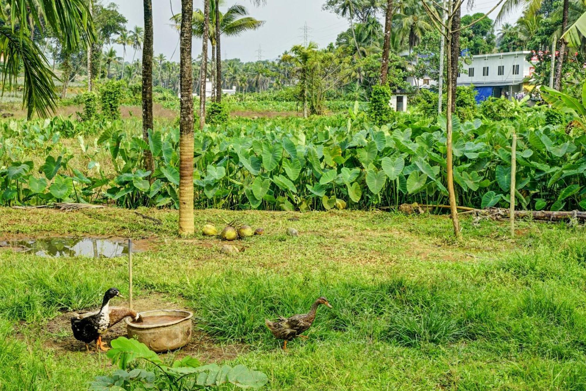 Spot On Shalom Palace Residency Neriyamangalam Luaran gambar